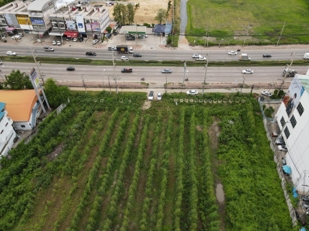 Land for sale, Thammasala Subdistrict, Mueang Nakhon Pathom District—next to Petchkasem Road, 8 lanes wide (suitable for building a village, low-rise project), 15-1-19 rai, width on the road 74 m. – รูปที่ 4