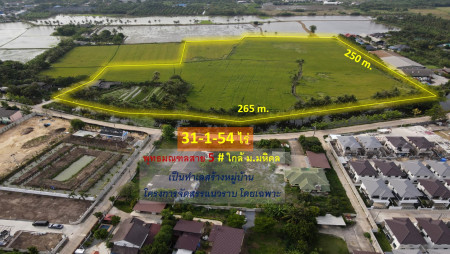 ขายที่ดิน พุทธมณฑลสาย 5 ต.บางเตย จ.นครปฐม ( ใกล้ ม.มหิดล + ใกล้ Central ศาลายา ) 31-1-54 ไร่ #เป็นทำเลสร้างหมู่บ้าน โครงการจัดสรร โดยเฉพาะ – รูปที่ 2