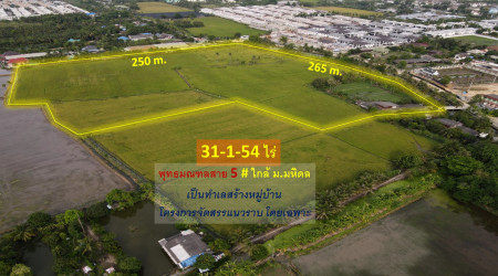 ขายที่ดิน พุทธมณฑลสาย 5 ต.บางเตย จ.นครปฐม ( ใกล้ ม.มหิดล + ใกล้ Central ศาลายา ) 31-1-54 ไร่ #เป็นทำเลสร้างหมู่บ้าน โครงการจัดสรร โดยเฉพาะ – รูปที่ 3