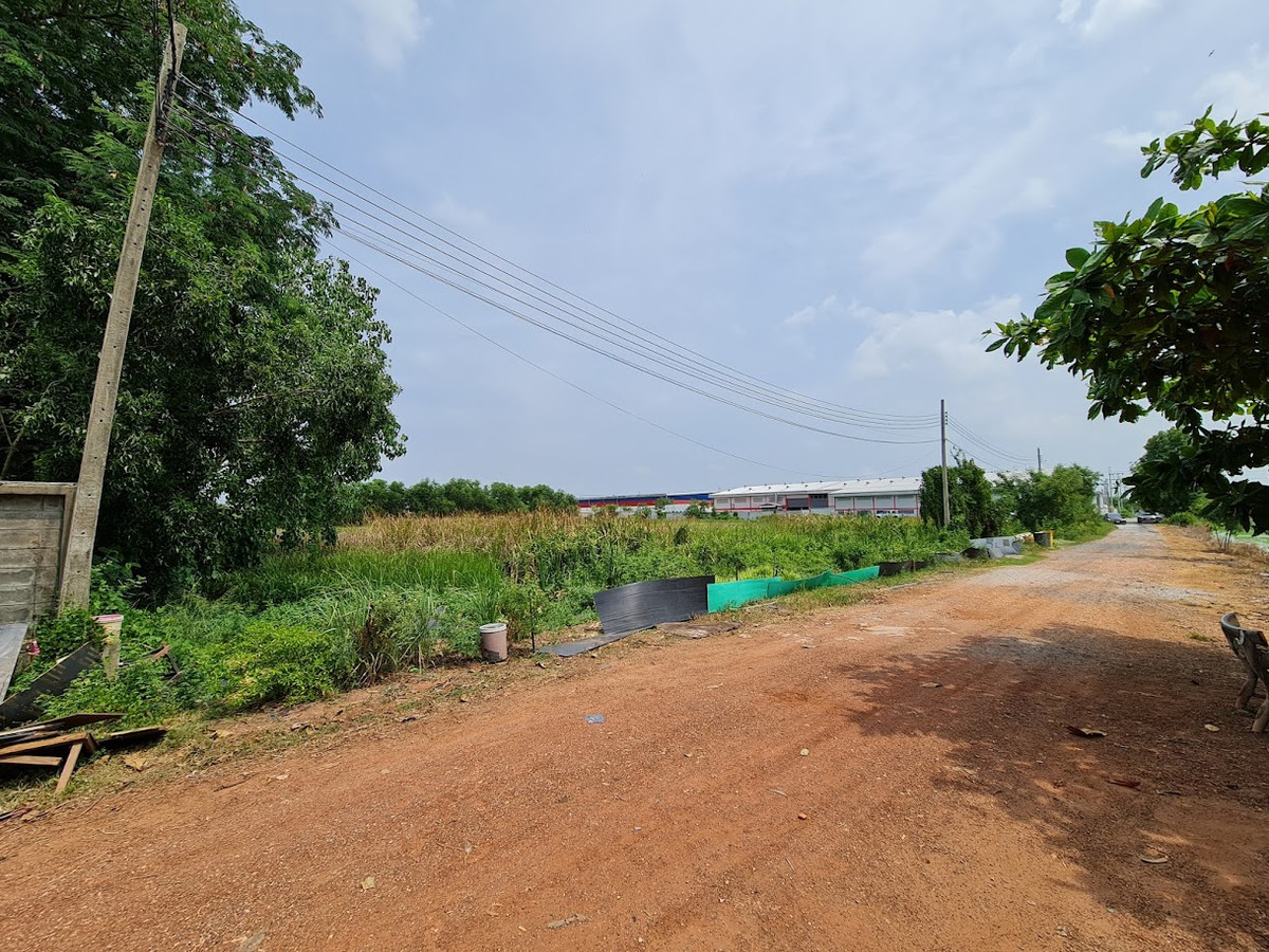 Land for sale, good location, 4 -1-73 rai, Suwinthawong Road, Nong Chok, Bangkok. – รูปที่ 2