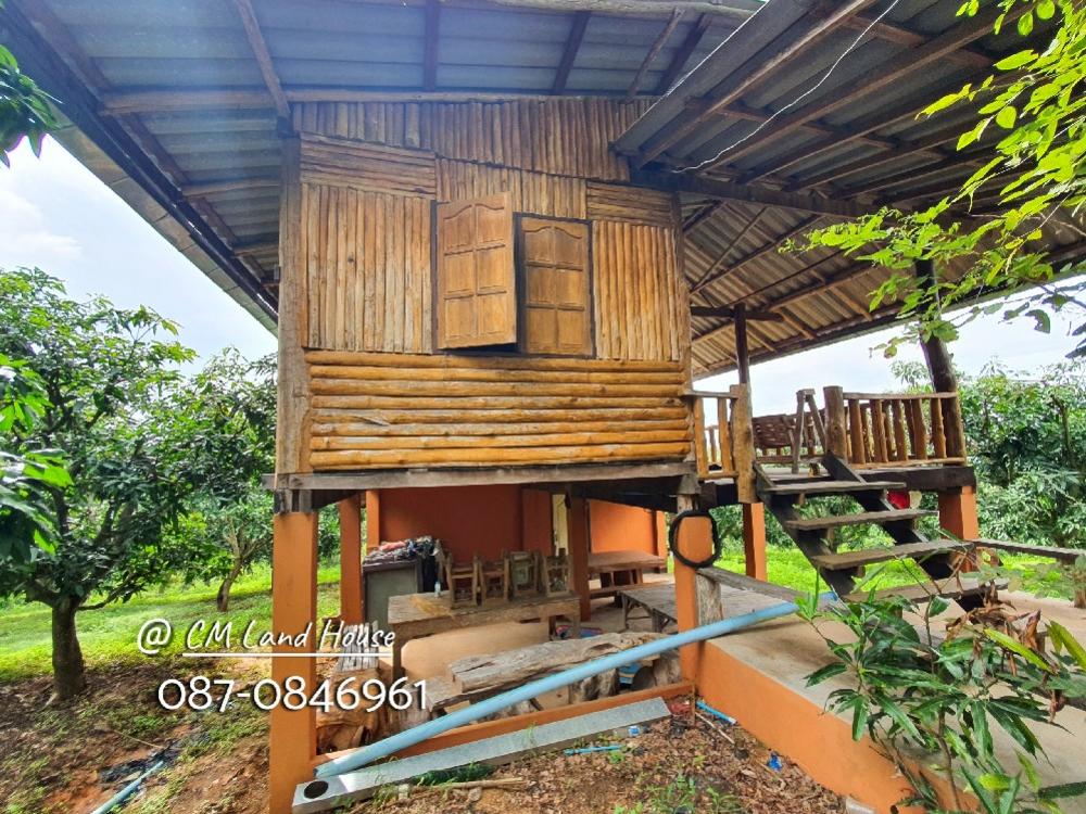 ด่วน! ลดเหลือไร่ละ 160,000 บ้านสวนกลางดอย อ.พร้าว โฉนด 28-1-54 ไร่ สวนมะม่วง-ลำใยกว่า 400 ต้น – รูปที่ 4