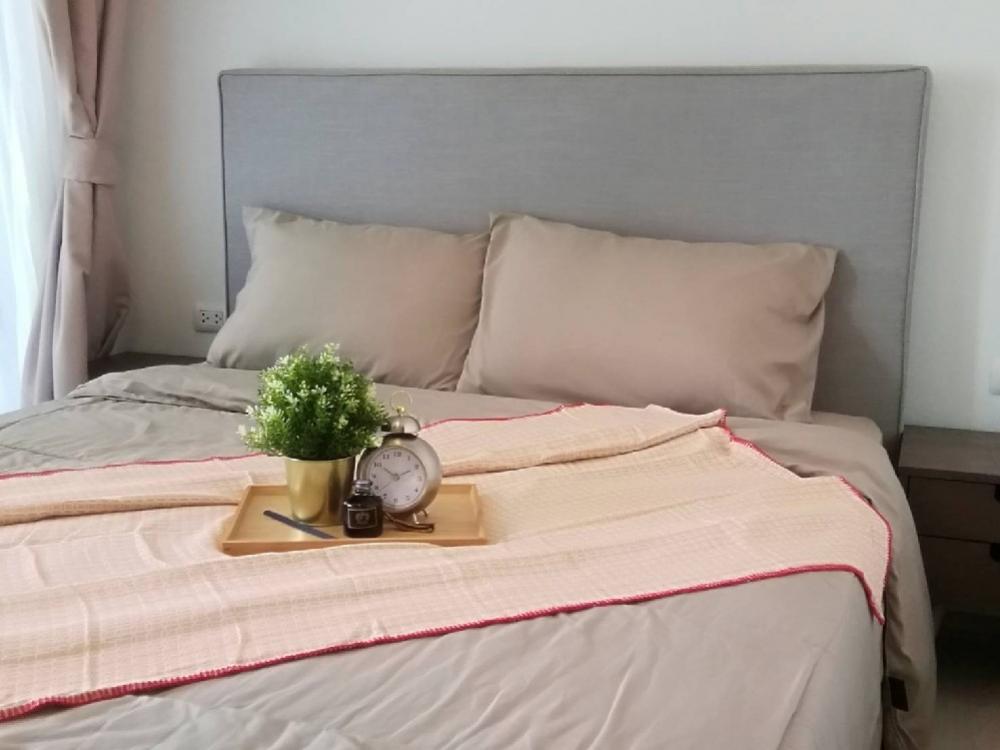 ให้เช่า Chapter One Eco 🍁 แบบ 2ห้องนอน 1ห้องน้ำ 🍁 45ตรม เครื่องใช้ไฟฟ้าครบ 🍁  – รูปที่ 3
