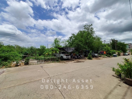 ++Land for sale, Soi Khlong Khae, Om Noi, 3-0-50.4 rai++, rectangular plot, purple plan, suitable for factory, warehouse, near the main road in Samut Sakhon – รูปที่ 2