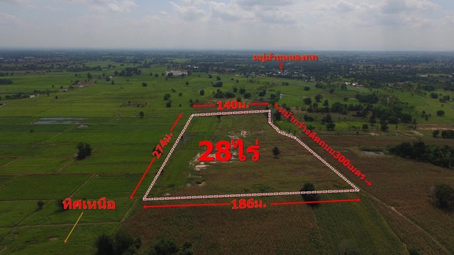 Land for sale 28 rai, 3 ngan Ban Nong Kok, 14 km from Sikhio District. Land adjacent to a public road, Full Title Deed. Land for sale 28 rai, 3 ngan Ban Nong Kok, 14 km from Sikhio District. Land adjacent to a public road, Full Title Deed.