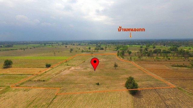 ขายถูก ที่ดิน 28 ไร่ 3 งาน บ้านหนองกก ห่างจากตัวอำเภอสีคิ้ว 14 กม. ที่ดินติดถนนสาธารณะประโยชน์  โฉนด น.ส.4จ.พร้อมโอน – รูปที่ 2