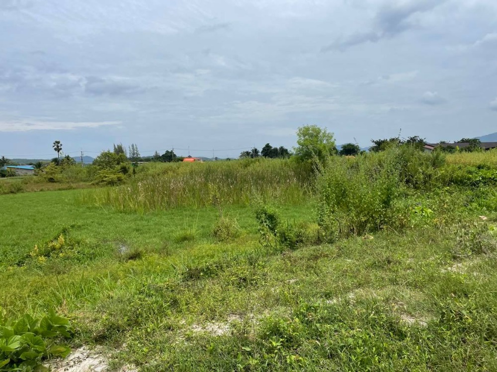 Land for sale in Nong Ya Plong, 6 Rai, Road 3510, the land is near the PTT gas station, Tha Takraw Subdistrict, Nong Ya Plong District, Phetchaburi.