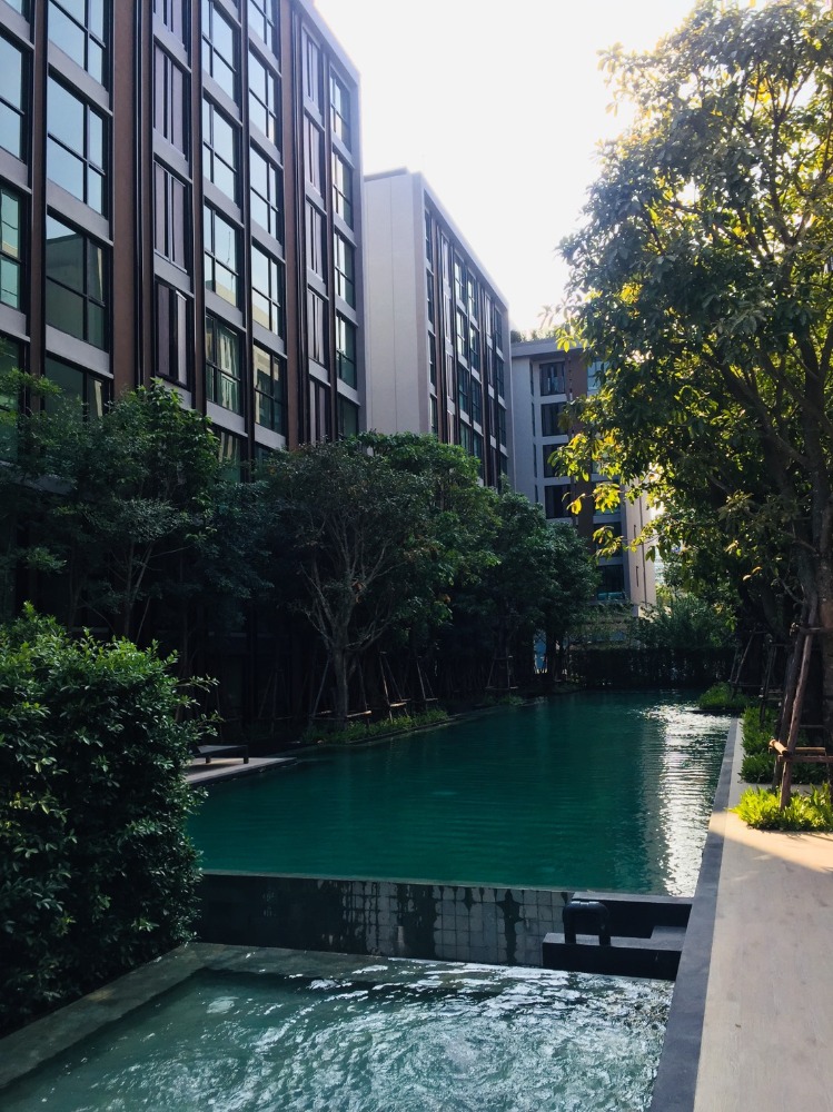 Condo vtara sukhumvit 36 for rent Condo vtara sukhumvit 36 for rent