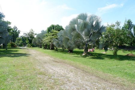 Land for sale, good location, near the city, near the economic source, land 18 rai 2 ngan 48.2 square wa, yellow layout can make a village allocated. or want a large plot near the city – รูปที่ 3