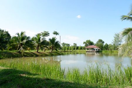 Land for sale, good location, near the city, near the economic source, land 18 rai 2 ngan 48.2 square wa, yellow layout can make a village allocated. or want a large plot near the city Land for sale, good location, near the city, near the economic source, land 18 rai 2 ngan 48.2 square wa, yellow layout can make a village allocated. or want a large plot near the city