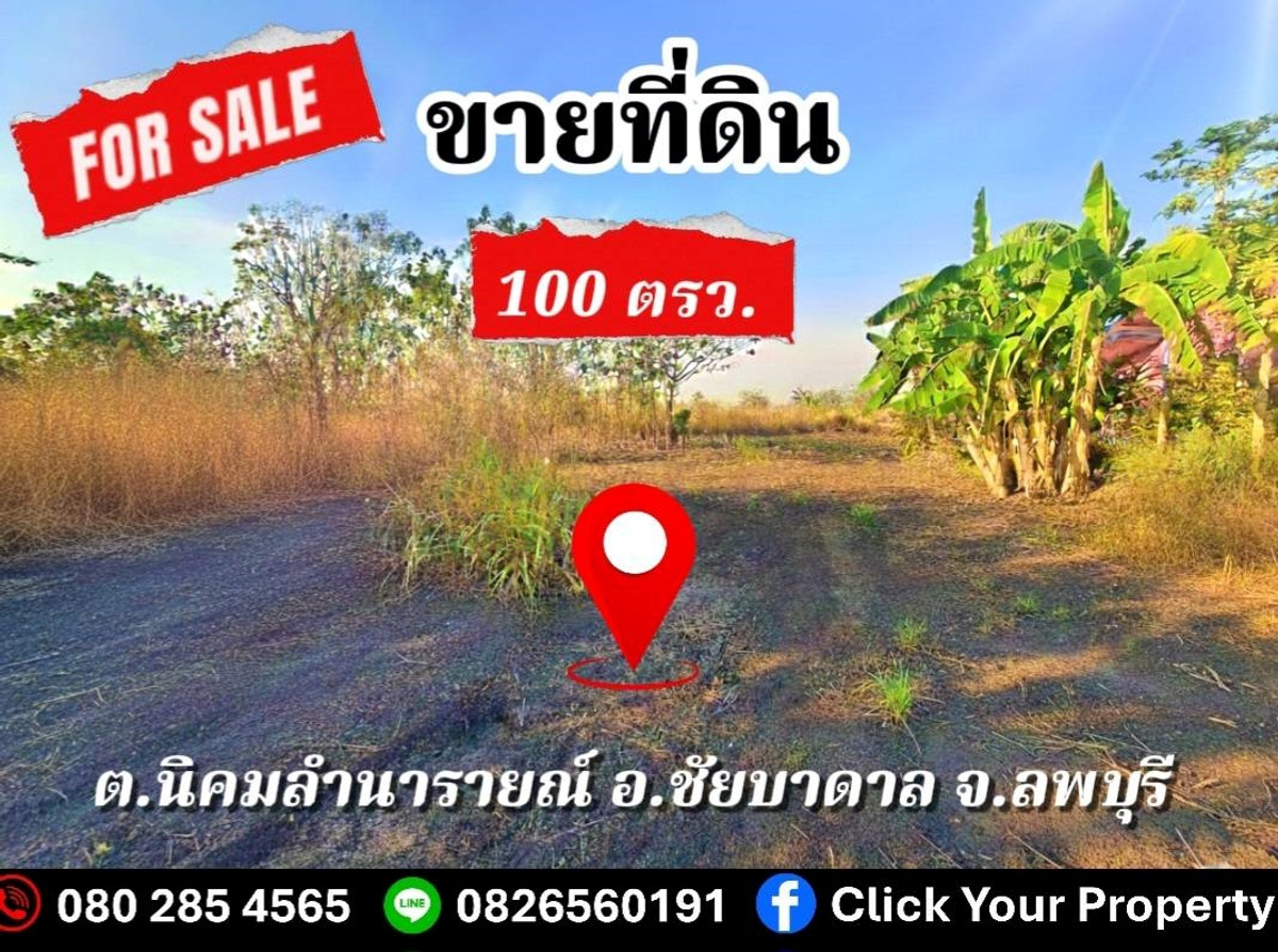 🔥ขาย ที่ดิน จัดสรร ชัยบาดาล ลพบุรี 100 ตร.วา ที่ดินแปลงสวย Land for SALE in Lopburi 🔥ขาย ที่ดิน จัดสรร ชัยบาดาล ลพบุรี 100 ตร.วา ที่ดินแปลงสวย Land for SALE in Lopburi