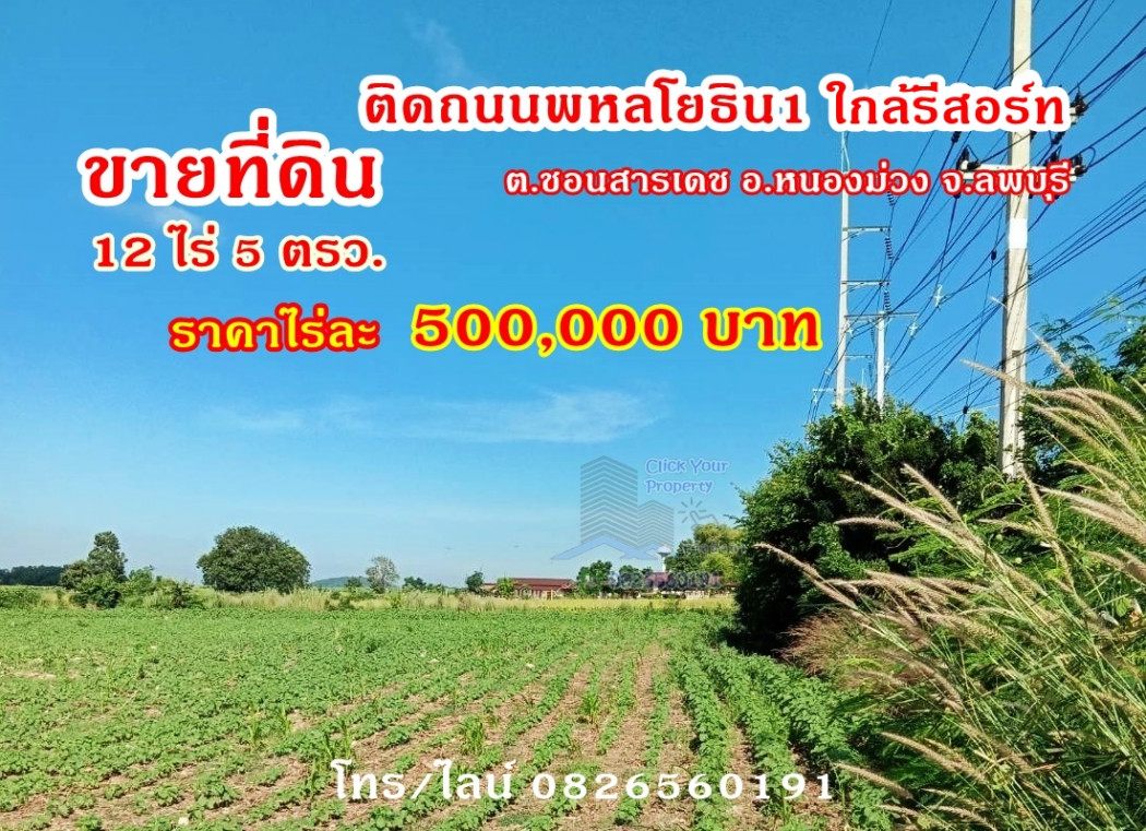 ขาย ที่ดิน ติดถนนพหลโยธิน1 ใกล้รีสอร์ท บนทำเลดี 12 ไร่ 5 ตร.วา จ.ลพบุรี ขาย ที่ดิน ติดถนนพหลโยธิน1 ใกล้รีสอร์ท บนทำเลดี 12 ไร่ 5 ตร.วา จ.ลพบุรี