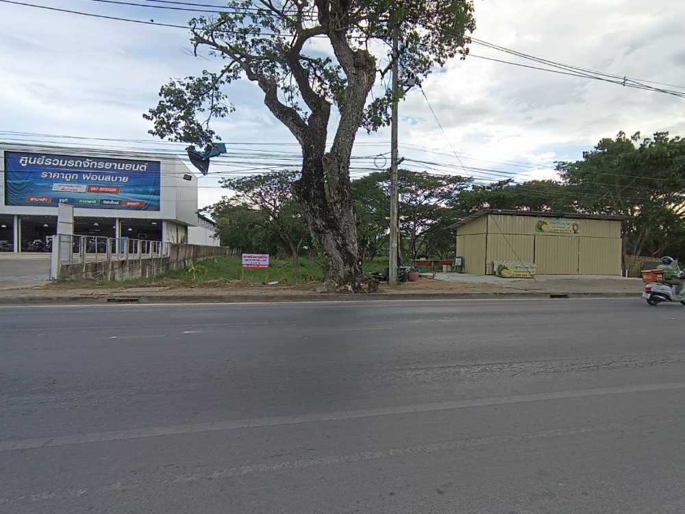 Sell or rent land in Chiang Mai. San Kamphaeng District Sell or rent land in Chiang Mai. San Kamphaeng District