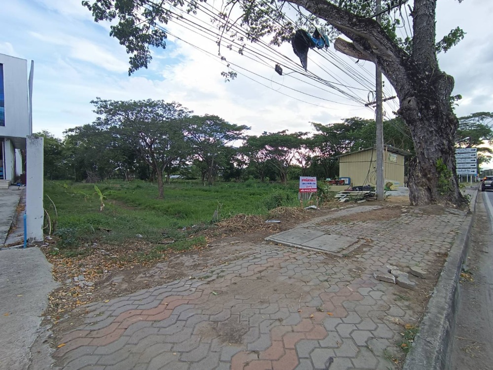 Sell ​​or rent land in Chiang Mai. San Kamphaeng District – รูปที่ 2