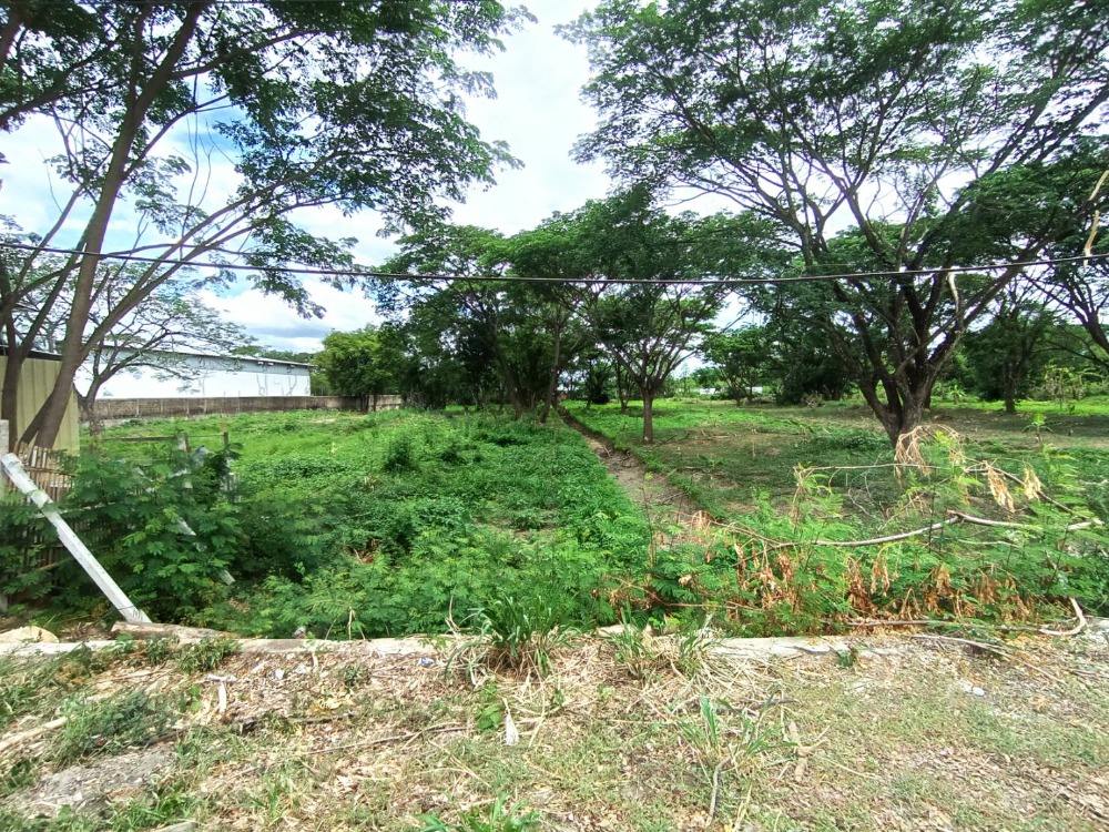 Sell ​​or rent land in Chiang Mai. San Kamphaeng District – รูปที่ 3