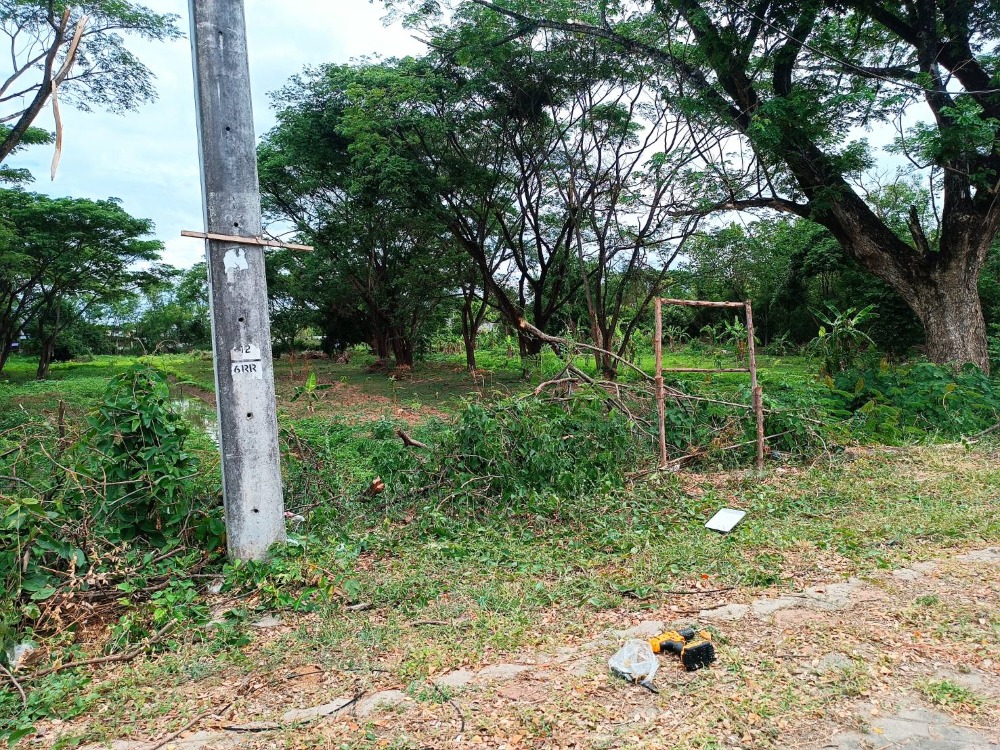 Sell ​​or rent land in Chiang Mai. San Kamphaeng District – รูปที่ 4