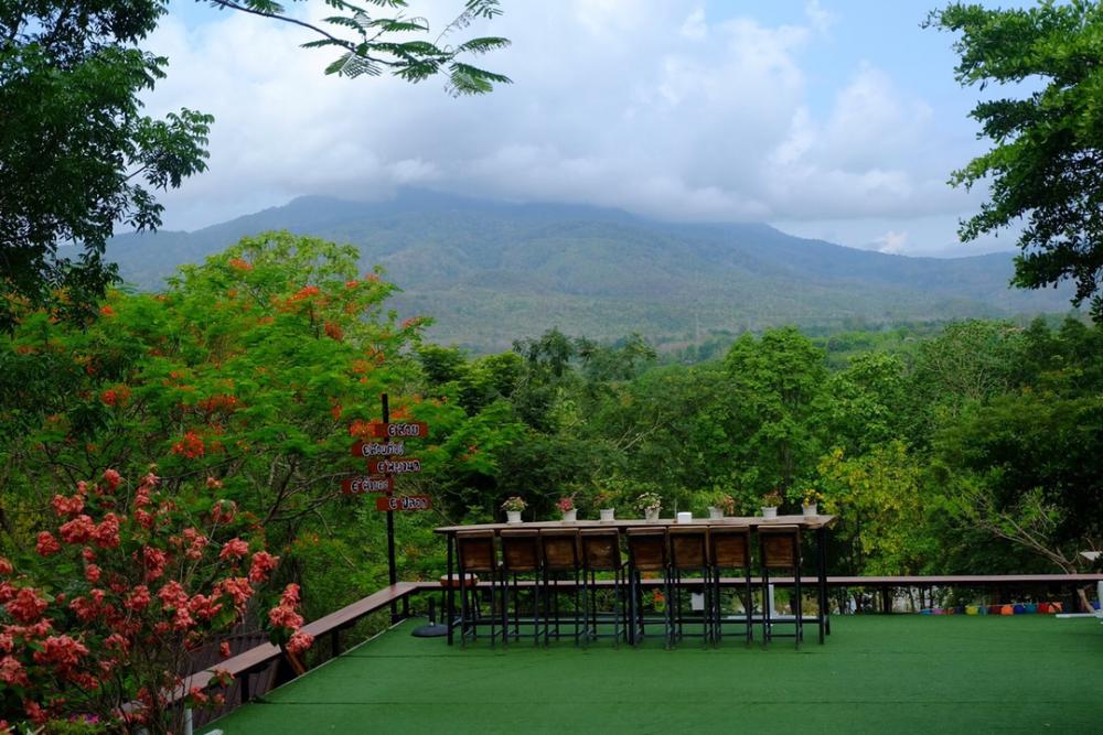 ขายที่ดินดอยสวย อำเภอแม่ริม เชียงใหม่ น้ำไม่ท่วม ขายที่ดินดอยสวย อำเภอแม่ริม เชียงใหม่ น้ำไม่ท่วม