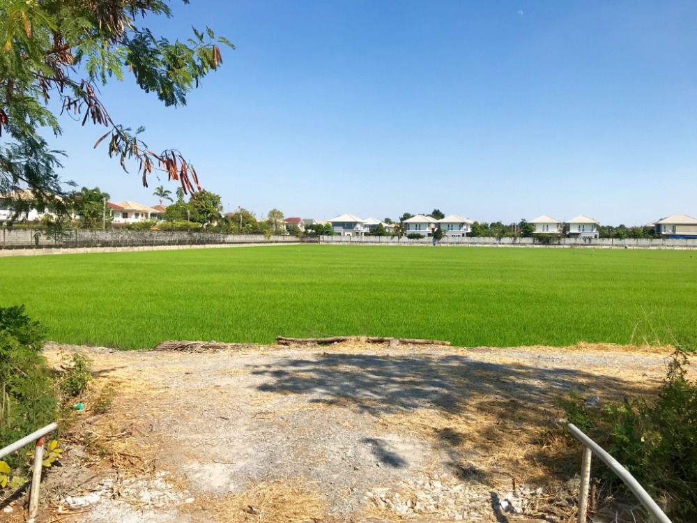 Land in the area of Wat Lat Pla Duk, 20 rai, beautiful plot shape, is a trapezoid. Surrounding is an allotted village. Land in the area of Wat Lat Pla Duk, 20 rai, beautiful plot shape, is a trapezoid. Surrounding is an allotted village.