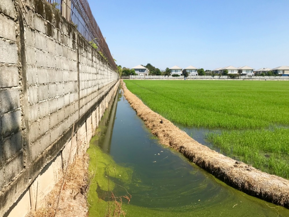 ที่ดินย่านวัดลาดปลาดุก 20 ไร่ รูปแปลงสวย เป็นสี่เหลี่ยมคางหมู รอบข้างเป็นหมู่บ้านจัดสรร – รูปที่ 3