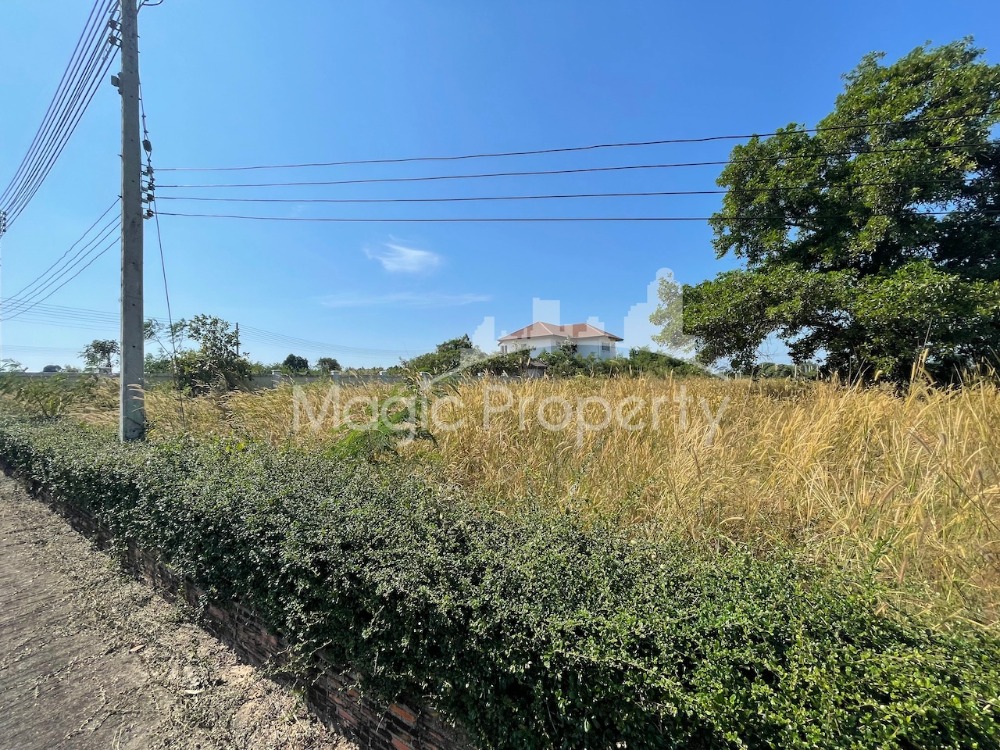 2-1-68 Rai-Ngan-Sq.w. Land for Sale in Sattahip District, Chonburi – รูปที่ 2