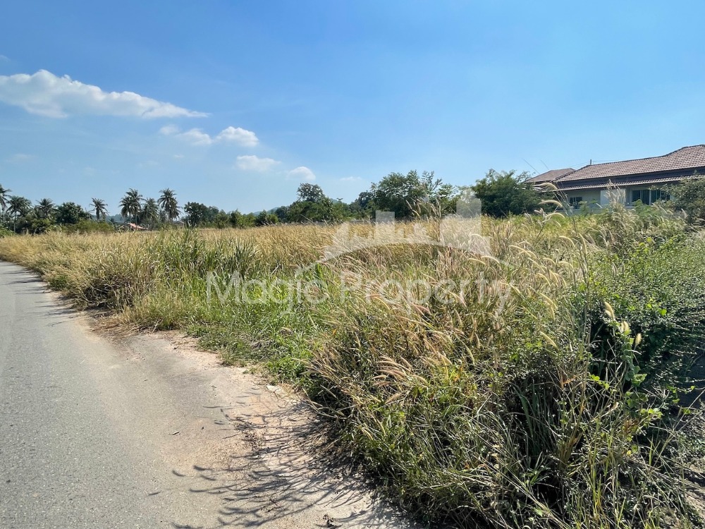 2-1-68 Rai-Ngan-Sq.w. Land for Sale in Sattahip District, Chonburi – รูปที่ 4