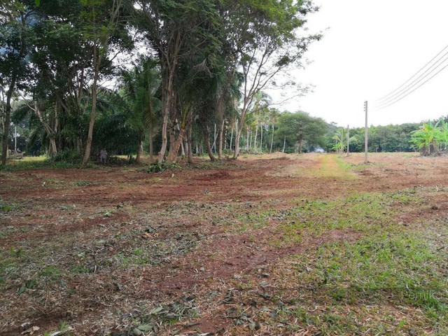 For sale Seafront Land Plot in Trat, Thailand 37-0-82.7 RAIS  (59,530.8 sqm.) – รูปที่ 4