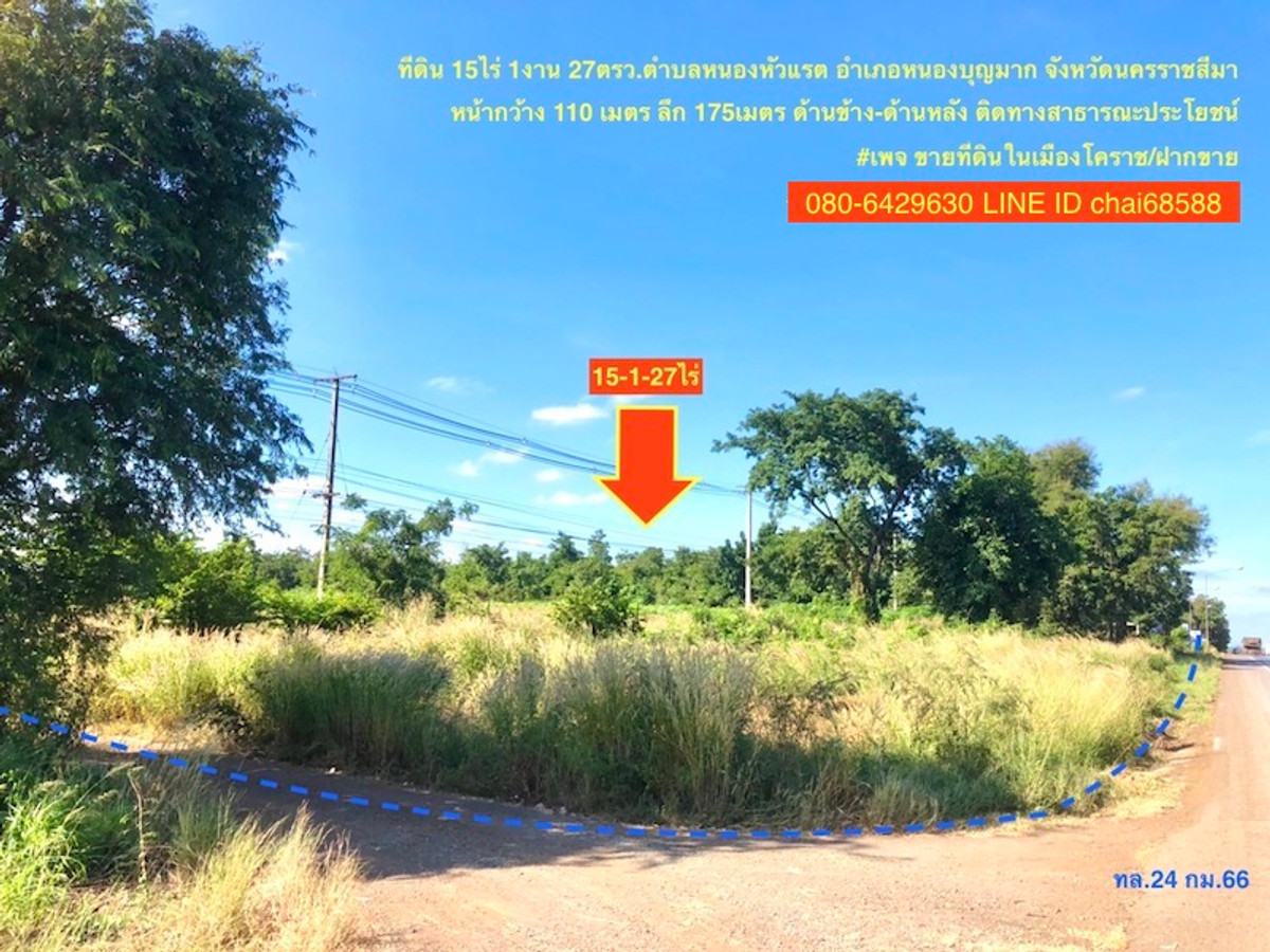 ขายที่ดินติดถนนโชคชัย-เดชอุดม ทล.24 เนื้อที่ 15-1-27ไร่ หนองบุญมาก โคราช – รูปที่ 2