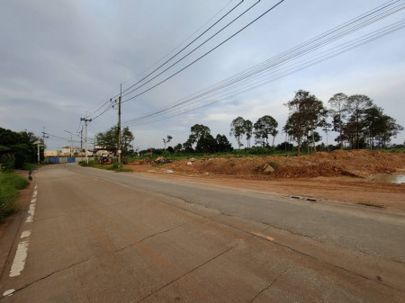 ขายที่ดิน ศรีราชา—ถนน 3009 (ถนนย่อย ถนน หนองสะเดา) จ.ชลบุรี 4-0-99 ไร่ (ใกล้ ท่าเรือ และนิคมอุตสาหกรรมแหลมฉบัง) เหมาะสร้างบ้านจัดสรร – รูปที่ 3