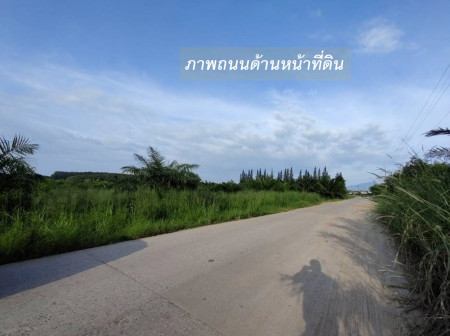 ขายที่ดิน EEC สร้างคลังสินค้าและโกดัง—ถนน 3574 จ.ระยอง (ใกล้ นิคมอุตสาหกรรมอีสเทิร์นซีบอร์ด) 81-2-57.3 ไร่ หน้ากว้าง 454 m. # ขนาดถนน 10 m. – รูปที่ 3