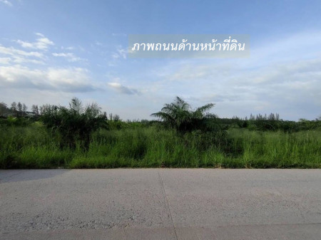 ขายที่ดิน EEC สร้างคลังสินค้าและโกดัง—ถนน 3574 จ.ระยอง (ใกล้ นิคมอุตสาหกรรมอีสเทิร์นซีบอร์ด) 81-2-57.3 ไร่ หน้ากว้าง 454 m. # ขนาดถนน 10 m. – รูปที่ 4