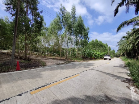 ขายที่ดิน EEC สร้างคลังสินค้าและโกดัง—ถนน 344 จ.ชลบุรี (ใกล้นิคมหลายแห่ง) 63-1-71 ไร่ หน้ากว้าง 351 m. ติดถนนทั้งสองด้าน ## ขนาดถนน 10 m. – รูปที่ 3