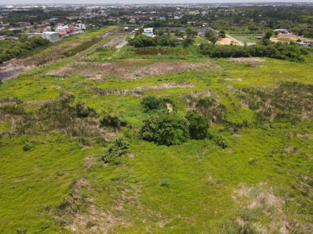 Land for sale Phutthamonthon Sai 4—next to the main road, 8 lanes wide (suitable for building a horizontal allocation project) 110-0-26 Rai # Near Mahidol University and Central Plaza Salaya – รูปที่ 3