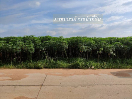 ขายที่ดิน EEC สร้างคลังสินค้าและโกดัง ถนน 3574 จ.ระยอง (ใกล้ นิคมอุตสาหกรรมอีสเทิร์นซีบอร์ด) 103-0-39 ไร่ หน้ากว้าง 300 m. ขนาดถนน 8-10 m. – รูปที่ 3