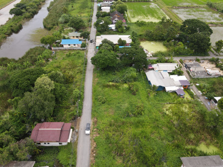 ขายที่ดิน คลองสามวา กรุงเทพมหานคร (เหมาะสร้างบ้าน + สำนักงาน + Townhome) เนื้อที่ 100 ตร.ว. วิวธรรมชาติ ##หน้ากว้าง 18 m. – รูปที่ 4