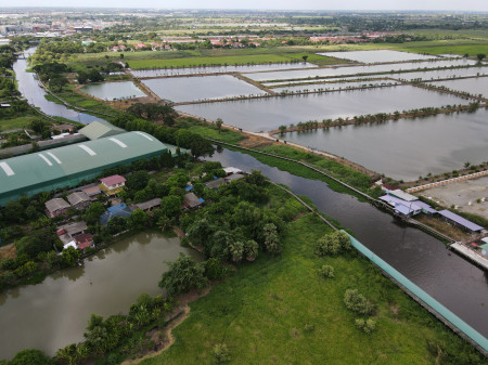 ขาย ที่ดิน ที่ดินลาดกระบัง ใกล้สุวรรณภูมิ Airport 8 Km.—ติดถนนกว้าง 6 เลน (เหมาะสร้างหมู่บ้าน โครงการจัดสรร แนวราบ) 544-2-98.4 ไร่ – รูปที่ 3