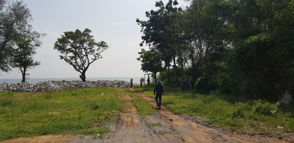 Land for sale and rent, next to Cha-am beach, 150 meters, almost 19 rai, 850 million baht – รูปที่ 4