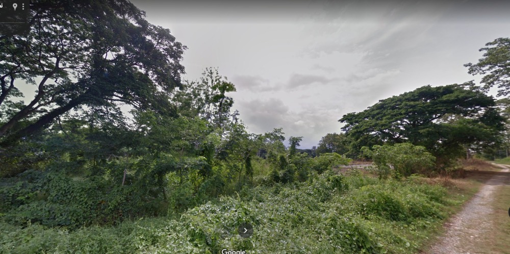 Land for sale / rent, Saraphi, Chiang Mai, over 4 rai, can be divided or converted – รูปที่ 2