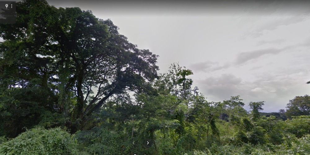 Land for sale / rent, Saraphi, Chiang Mai, over 4 rai, can be divided or converted – รูปที่ 3