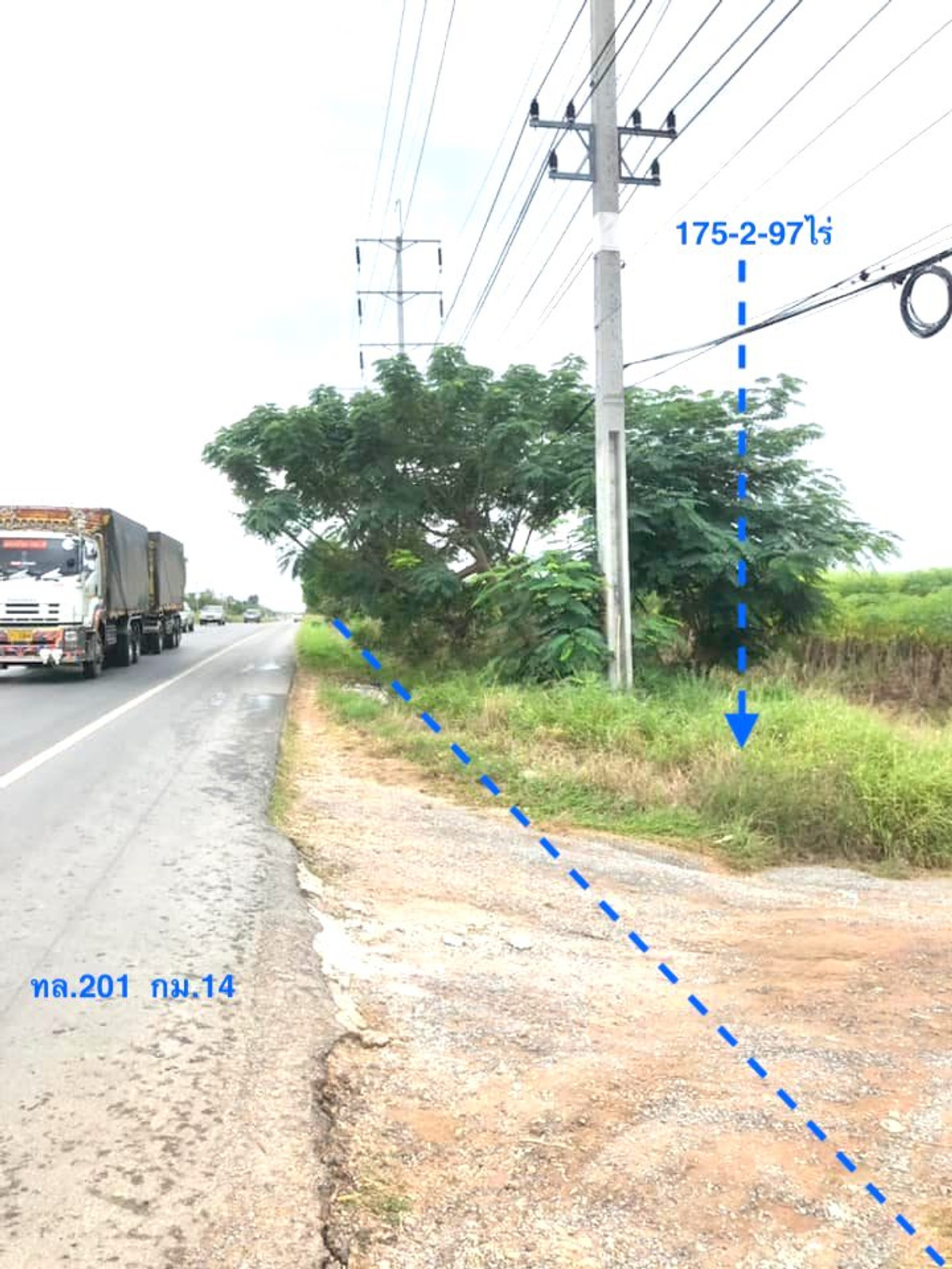 ขายที่ดินใกล้ถนนมอเตอร์เวย์ สีคิ้ว โคราช เนื้อที่ 176-2-97ไร่ หนองบัวน้อย สีคิ้ว โคราช ใกล้ m6 – รูปที่ 2