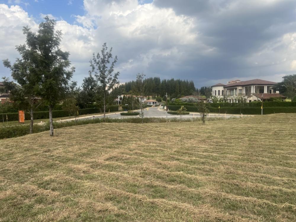 ขายด่วน Toscana Valley Zone15 แปลงที่2 ขนาดที่ดิน 701 ตารางวาขายที่ดิน ใน โป่งตาลอง, ปากช่องToscana Valley Zone15 แปลงที่2 ขนาดที่ดิน 701 ตารางวา ราคาต่อวา 76,000 บาท ราคาขาย: ฿ 53,276,000แปลงใกล้ทะเลสาบ เห็นเขาใหญ่ในมุมที่สวยที่สุด สามารถติดต่อมา