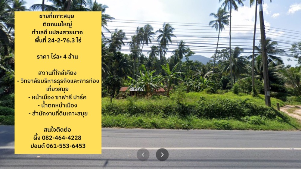 ขายที่เกาะสมุย 24 ไร่ ติดถนนใหญ่ ทำเลดี แปลงสวยมาก – รูปที่ 2