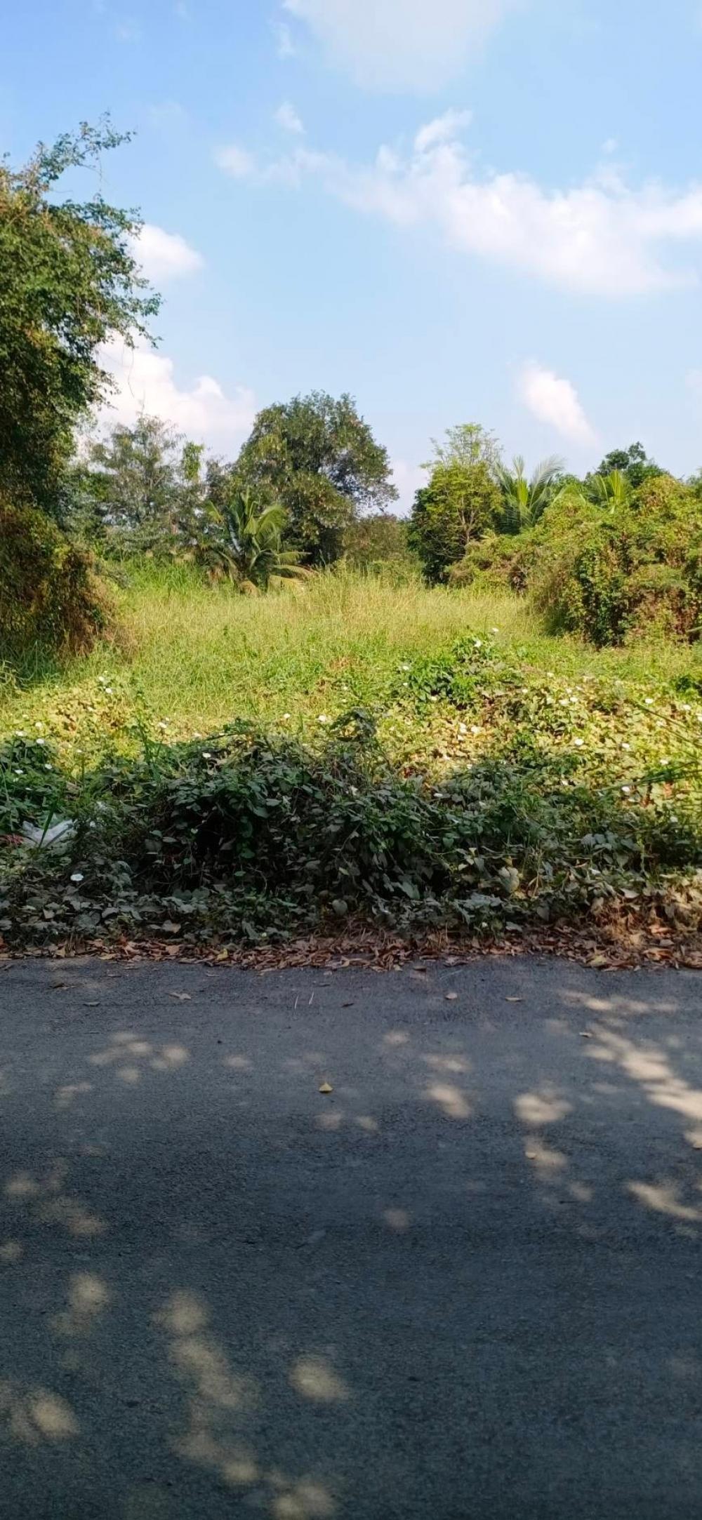 ขายที่ดิน 1ไร่ 20ตรว.​ เข้าทางเพชรเกษม110​ และทางพุทธมณฑล​สาย4​ – รูปที่ 4