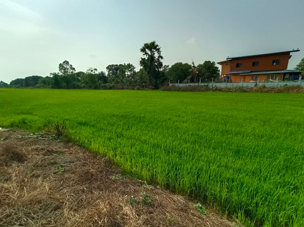 ขายที่ดินใกล้วัดปากกราน อยุธยา เนื้อที่ 5 ไร่ 3 งาน 84 ตร.ว. เหมาะทำการเกษตร หรือสร้างบ้านพักอาศัย ขายที่ดินใกล้วัดปากกราน อยุธยา เนื้อที่ 5 ไร่ 3 งาน 84 ตร.ว. เหมาะทำการเกษตร หรือสร้างบ้านพักอาศัย