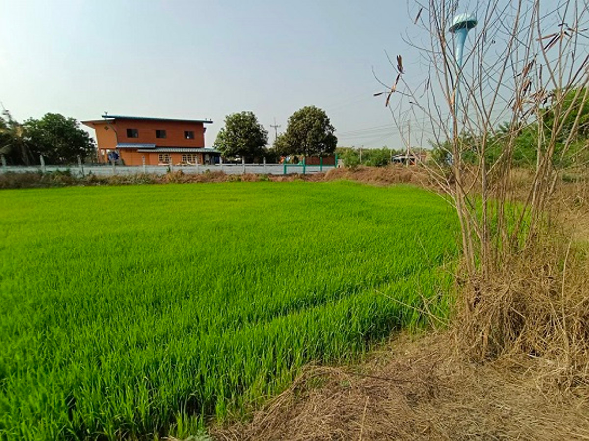 Land for sale near Wat Pakkran, Ayutthaya, area 5 rai 3 ngan 84 sq m, suitable for agriculture. or build a house – รูปที่ 2