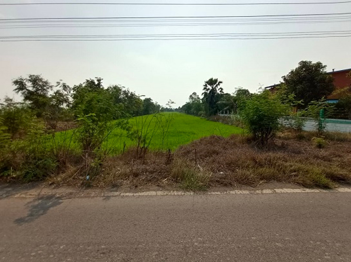 Land for sale near Wat Pakkran, Ayutthaya, area 5 rai 3 ngan 84 sq m, suitable for agriculture. or build a house – รูปที่ 4