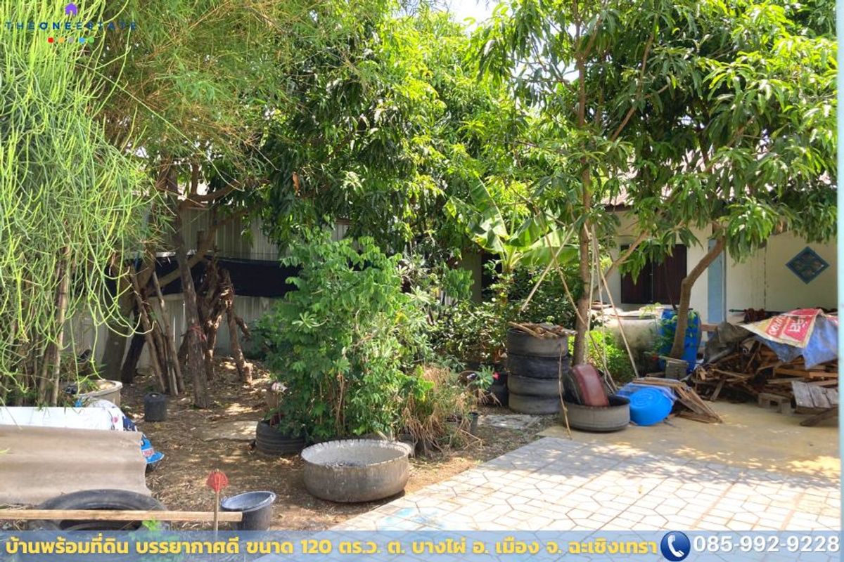 🌿ขายบ้านเดี่ยวพร้อมที่ดิน 120 ตร.ว. ใกล้ตัวเมืองแปดริ้ว บรรยากาศร่มรื่น เหมาะสำหรับนักลงทุนและครอบครัวที่มองหาบ้านหลังใหม่! – รูปที่ 4