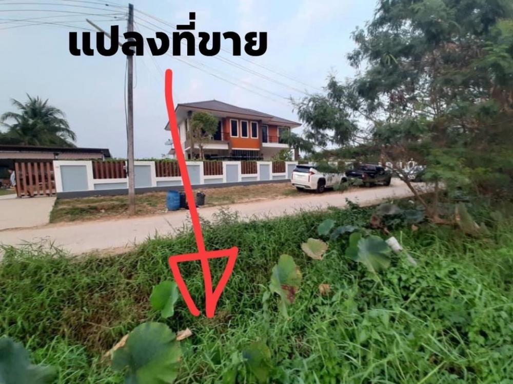 ขายที่ดิน 200 ตร.ว ต.ศิลา อ.เมืองขอนแก่น จ.ขอนแก่น 1.9 ล้าน ติดถนน 2 ด้าน – รูปที่ 3