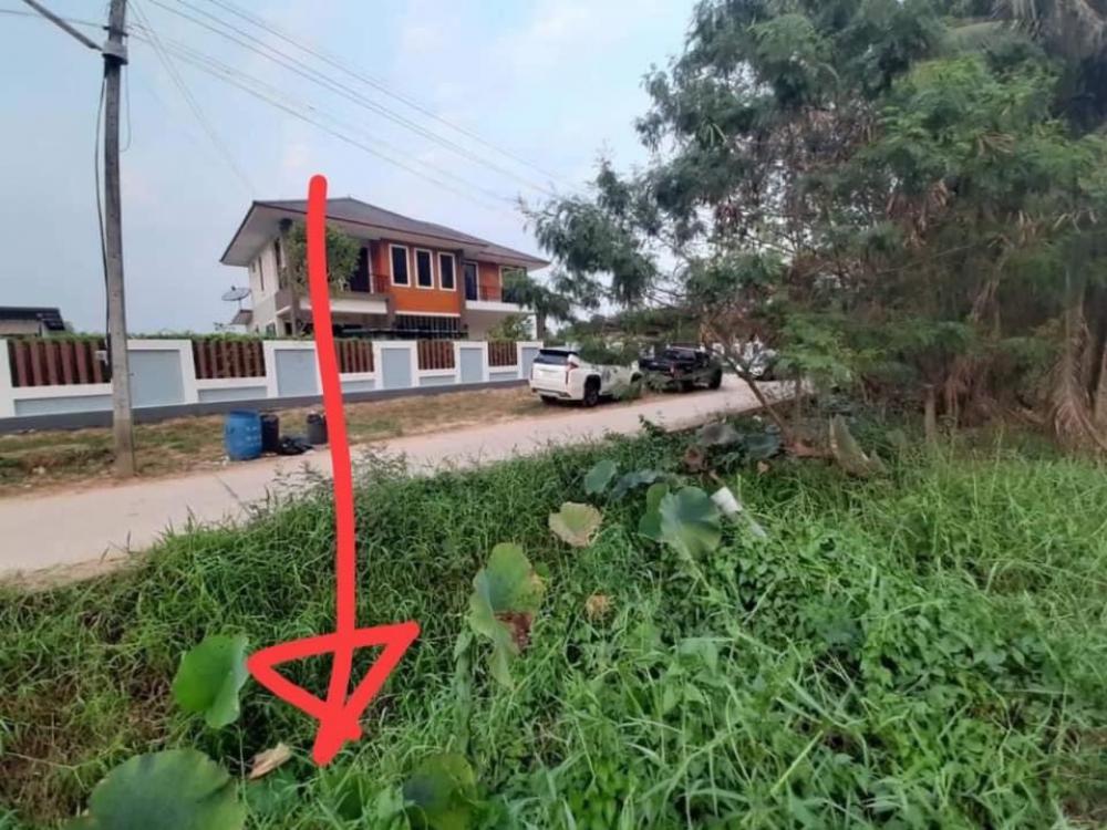 ขายที่ดิน 200 ตร.ว ต.ศิลา อ.เมืองขอนแก่น จ.ขอนแก่น 1.9 ล้าน ติดถนน 2 ด้าน – รูปที่ 4