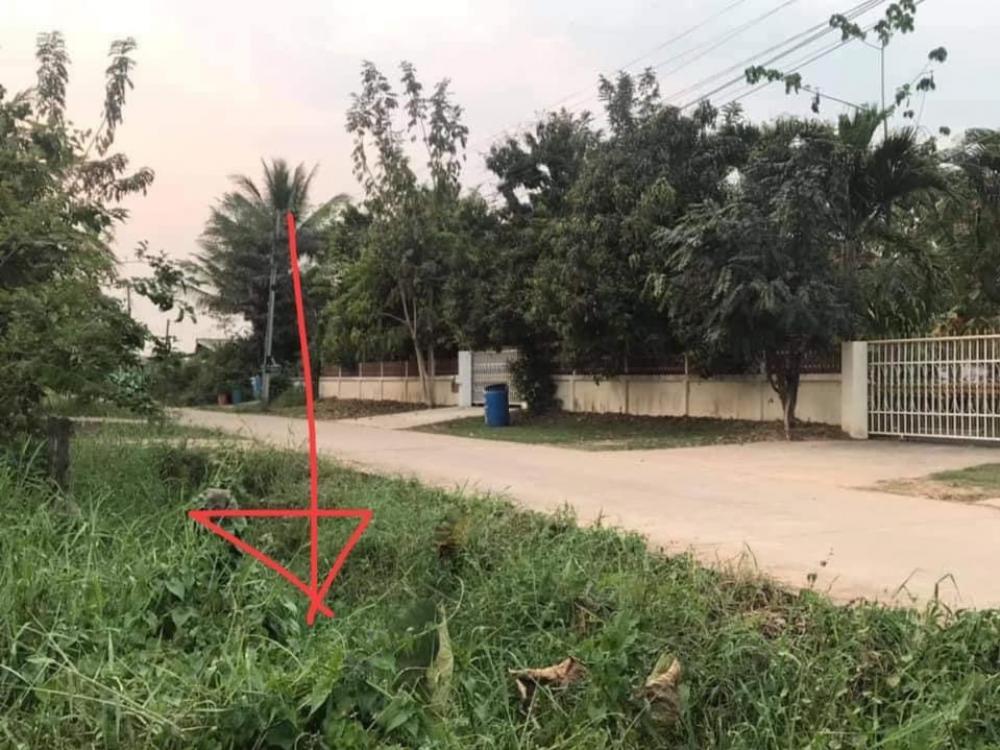 ขายที่ดิน 200 ตร.ว ต.ศิลา อ.เมืองขอนแก่น จ.ขอนแก่น 1.9 ล้าน ติดถนน 2 ด้าน
