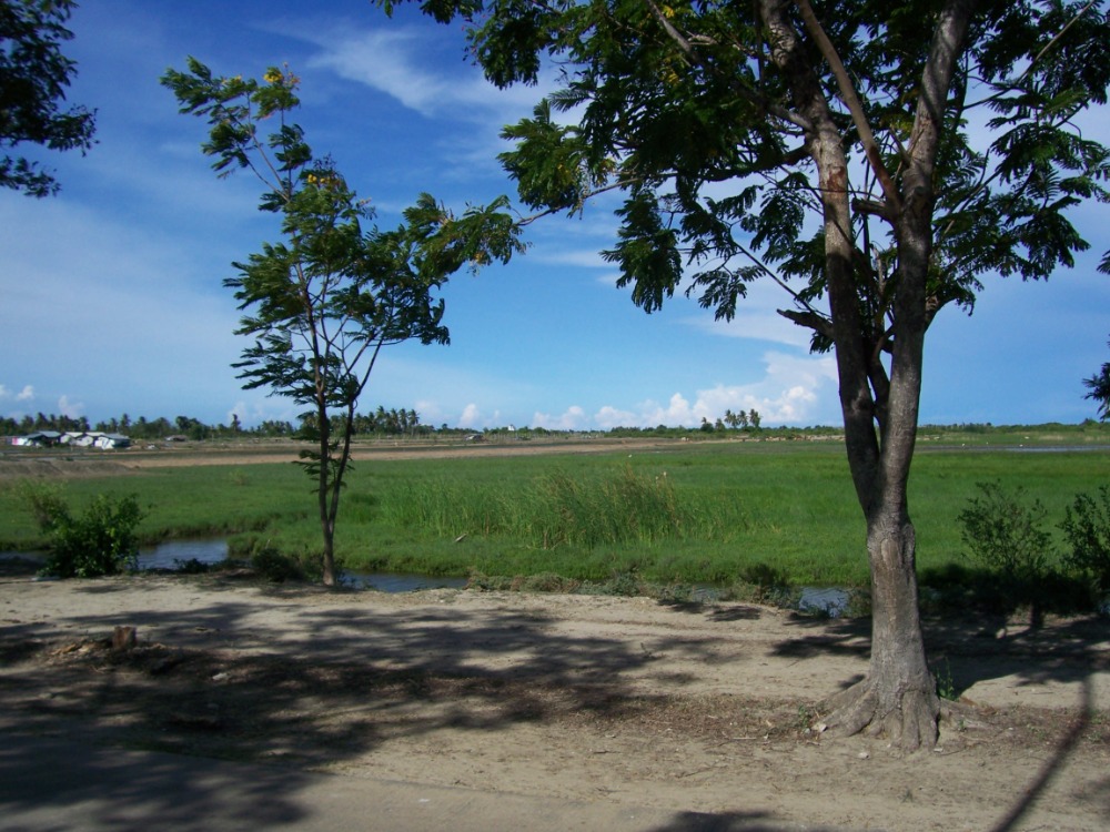 ขายที่ดิน 23 ไร่ หาดเจ้าสำราญ เหมาะจัดสรรและทำเกษตร จังหวัดเพชรบุรี* ขายที่ดิน 23 ไร่ หาดเจ้าสำราญ เหมาะจัดสรรและทำเกษตร จังหวัดเพชรบุรี*