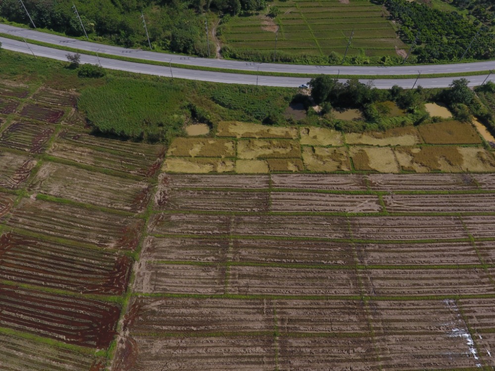 ขายที่ดินเชียงของ 35 ไร่ ติดถนนใหญ่ 1020 AH3 * – รูปที่ 4